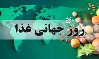 24 مهر ، روز جهانی غذا / نان کامل و اثرات مفید آن بر سلامتی 