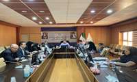 نشست وبیناری مسئولین وزارت بهداشت با روسای دانشگاه های علوم پزشکی کشور 