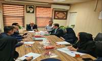 برگزاری جلسه کارگروه واگذاری فعالیت ها و امور خدمات دانشگاه با حضور سرپرست معاونت توسعه