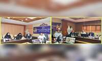 در نشست وبیناری مطرح شد : موفقیت پزشکی خانواده نیازمند همکاری ملی و جبران عقب‌ماندگی بیمه‌هاست